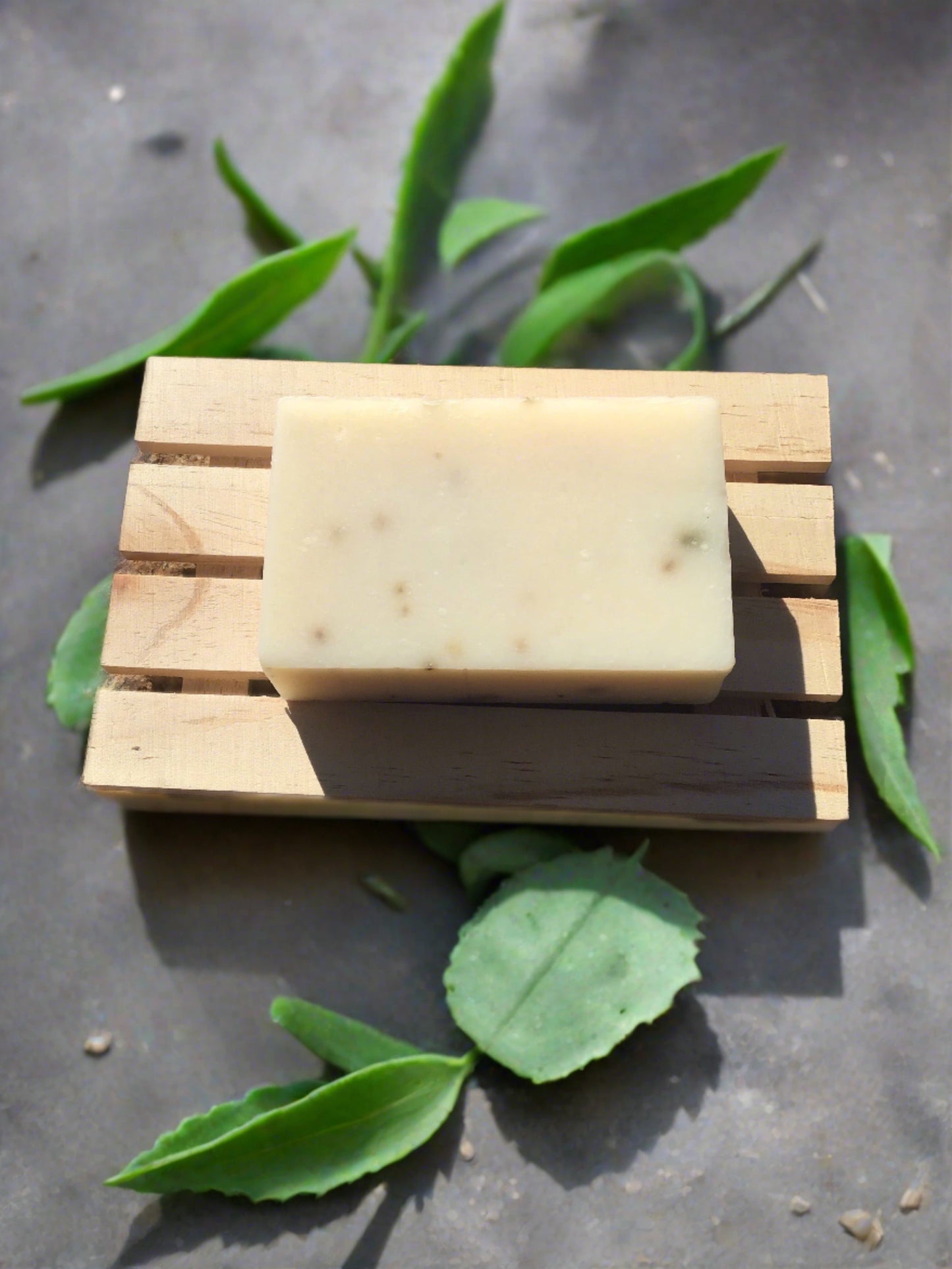 Aloe & Eucalyptus Bar Soap